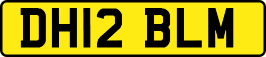 DH12BLM