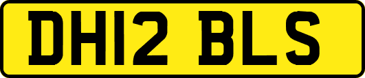 DH12BLS