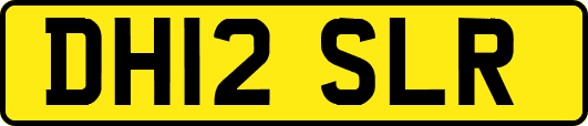 DH12SLR