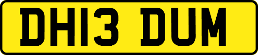 DH13DUM
