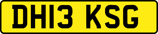 DH13KSG