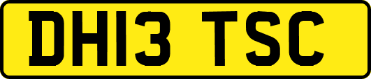 DH13TSC