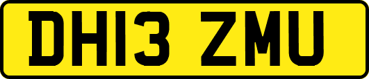 DH13ZMU