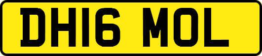 DH16MOL