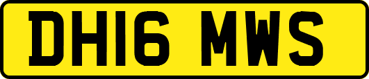 DH16MWS