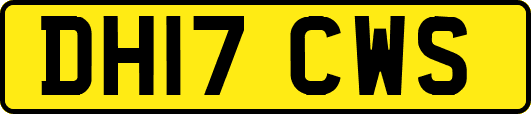 DH17CWS