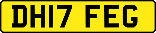 DH17FEG