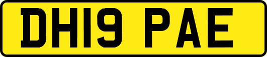 DH19PAE