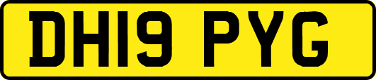 DH19PYG