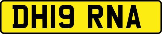 DH19RNA