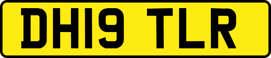 DH19TLR