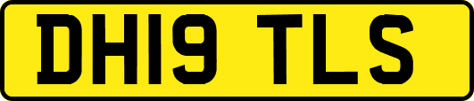 DH19TLS