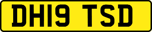 DH19TSD