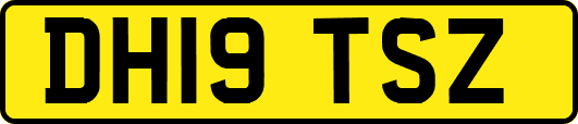 DH19TSZ