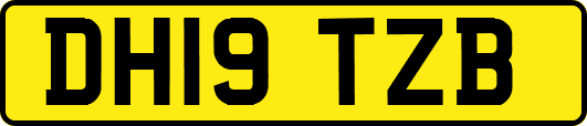 DH19TZB