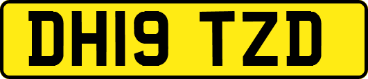 DH19TZD