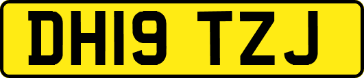 DH19TZJ