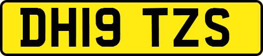 DH19TZS