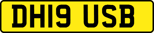 DH19USB