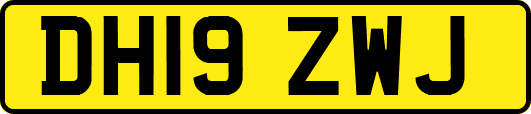 DH19ZWJ