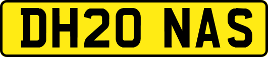 DH20NAS