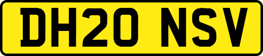 DH20NSV