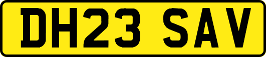 DH23SAV
