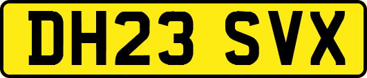 DH23SVX