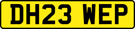 DH23WEP