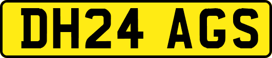 DH24AGS