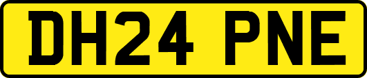 DH24PNE