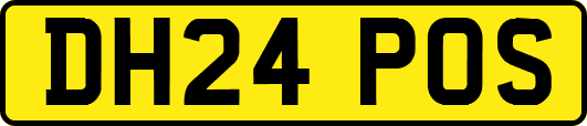 DH24POS
