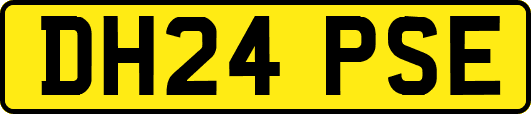 DH24PSE