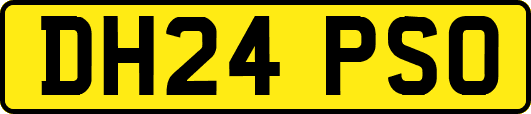 DH24PSO