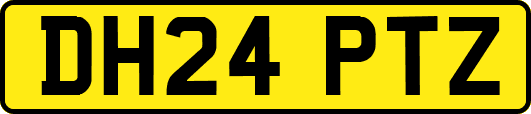 DH24PTZ