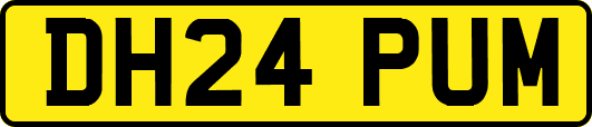 DH24PUM