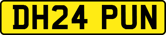 DH24PUN