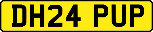 DH24PUP