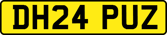 DH24PUZ