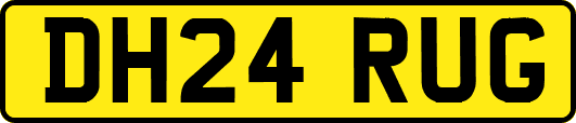 DH24RUG
