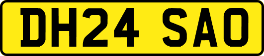 DH24SAO