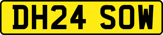 DH24SOW