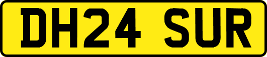 DH24SUR