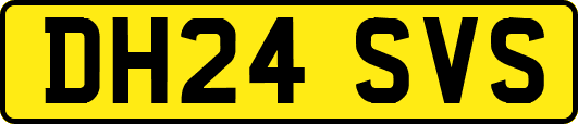 DH24SVS