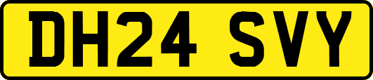 DH24SVY