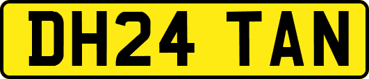 DH24TAN