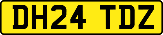 DH24TDZ