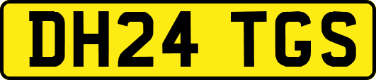 DH24TGS