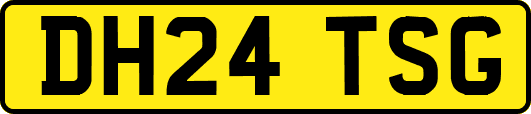 DH24TSG