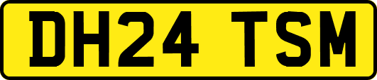 DH24TSM